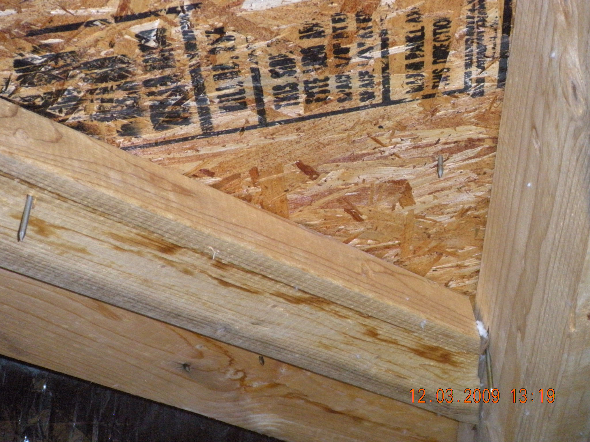 A Closer Look Home Inspection Charleston — foundation inspection photo 39